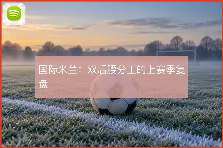 国际米兰:双后腰分工的上赛季复盘